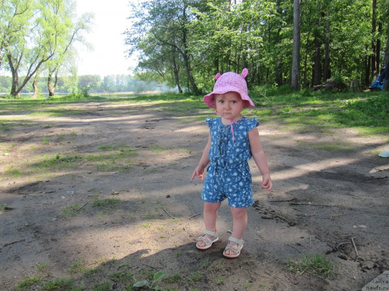 Фотография № 247231