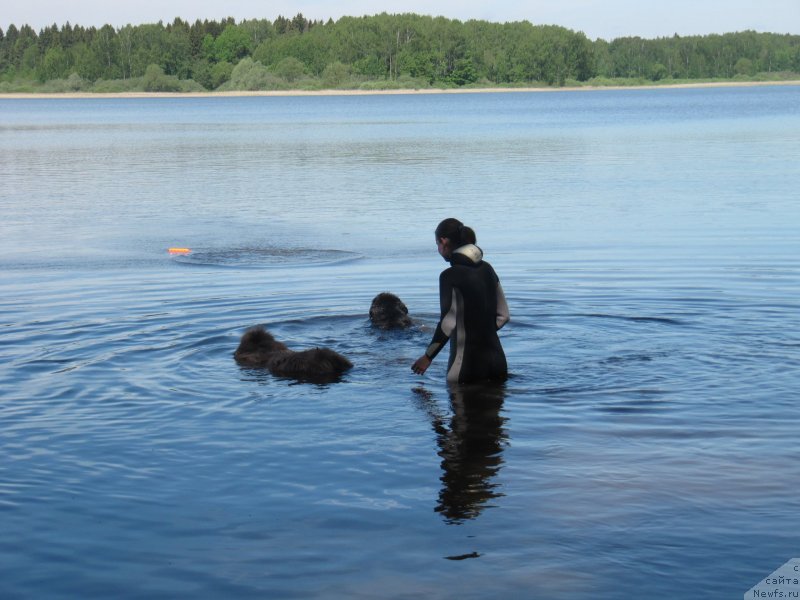 Фотография № 247232