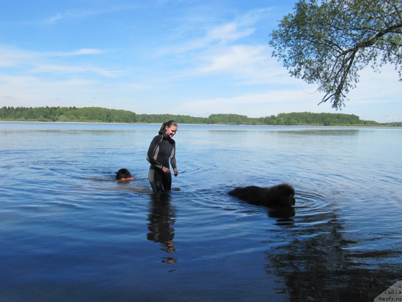 Фотография № 247233