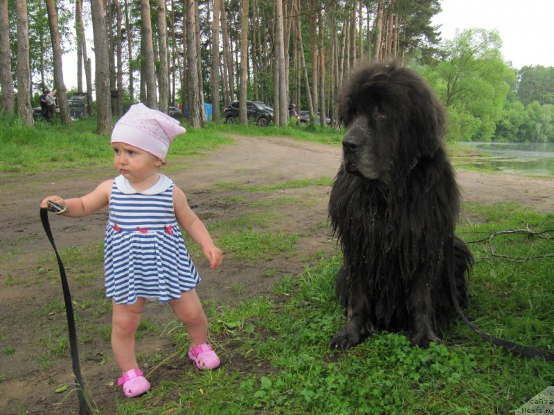 Фотография № 247234