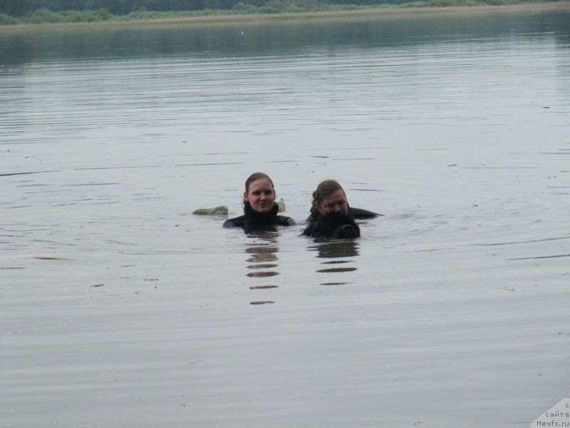 Фотография № 247238