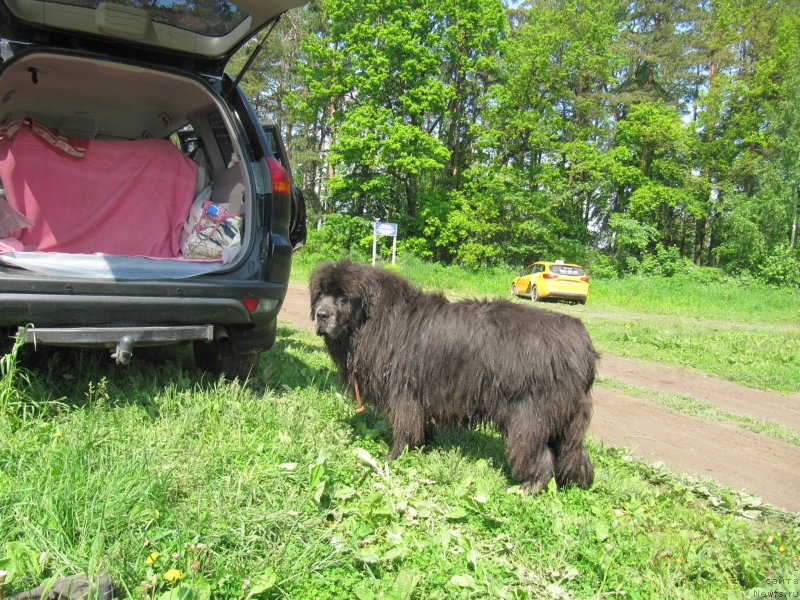 Фотография № 247240