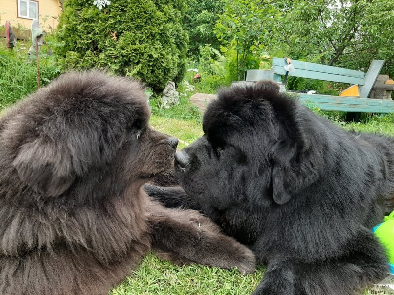 Фотография № 247245