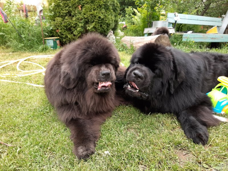 Фотография № 247249