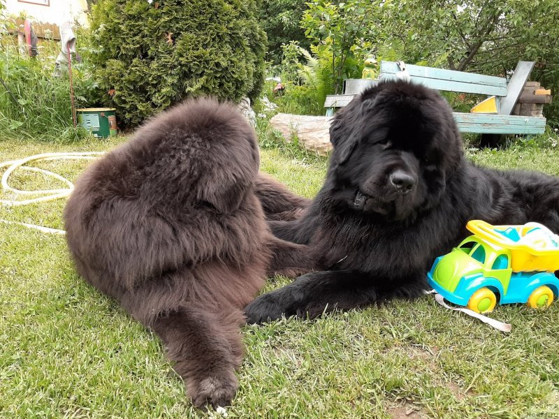 Фотография № 247251