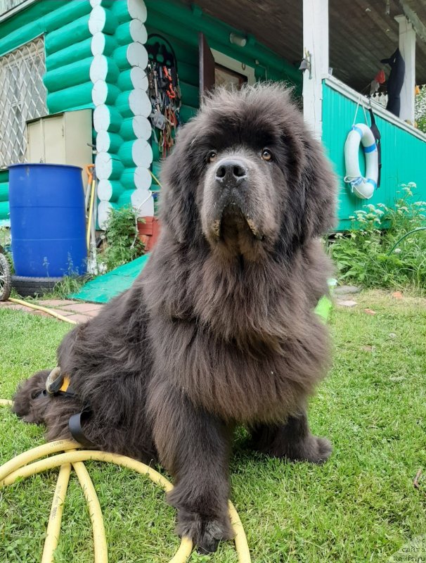 Фотография № 247252