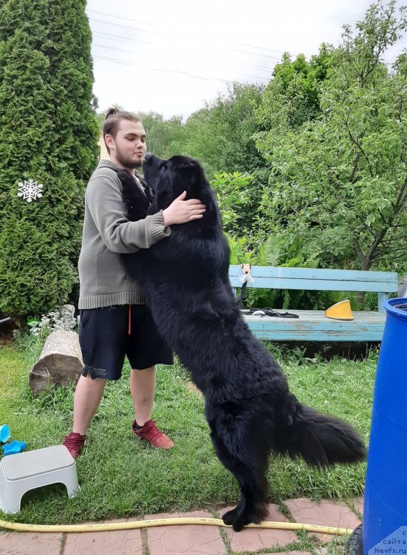 Фотография № 247254