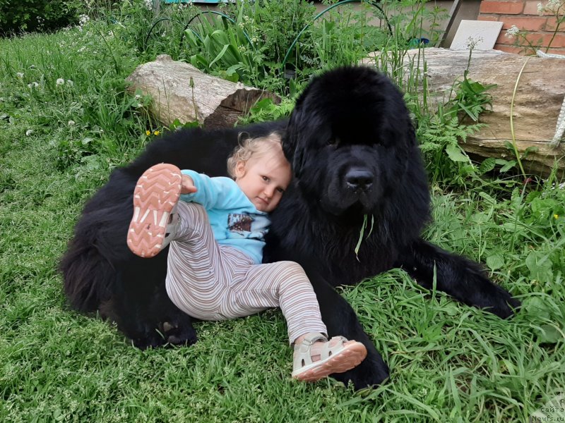 Фотография № 247256