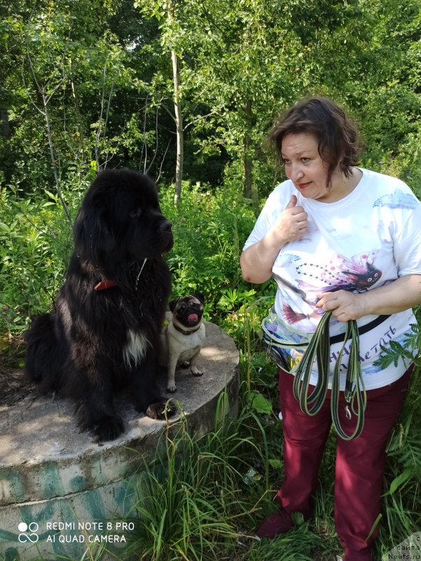 Фото: ньюфаундленд Даанич Веселый Роджер, Лилиана Рахматова