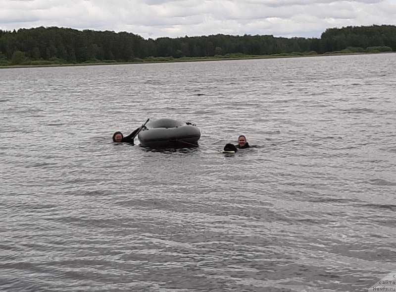 Фотография № 247262