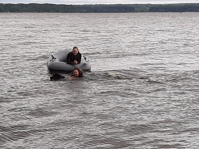 Фотография № 247263