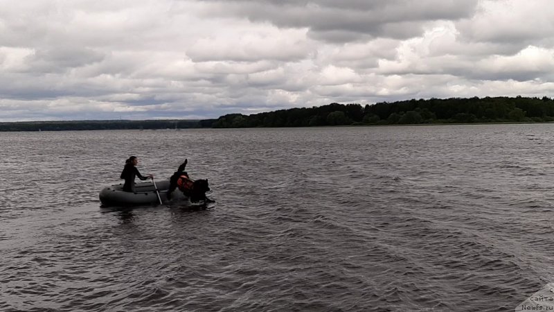 Фотография № 247264