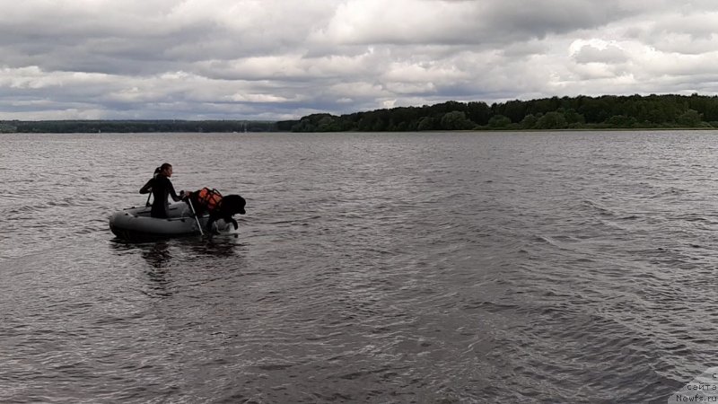 Фотография № 247265