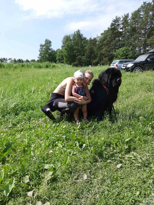 Фотография № 247266