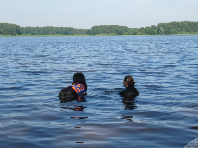 Фотография № 247267