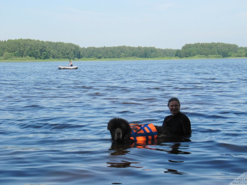 Фотография № 247268