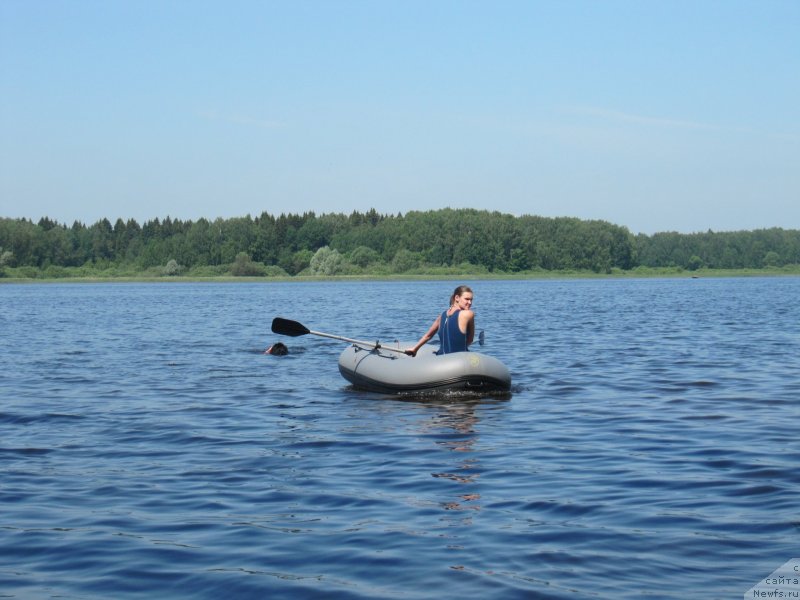 Фотография № 247269