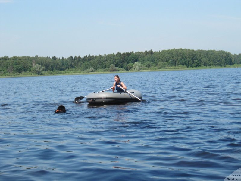 Фотография № 247270