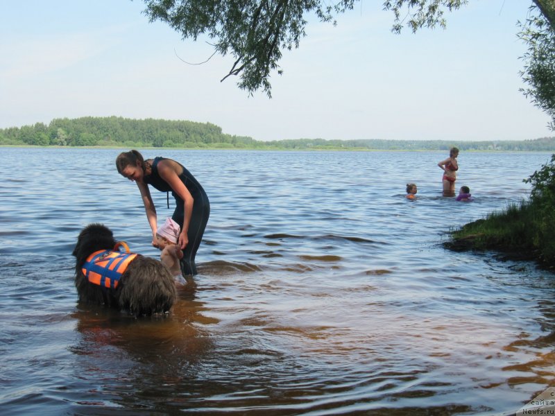 Фотография № 247273