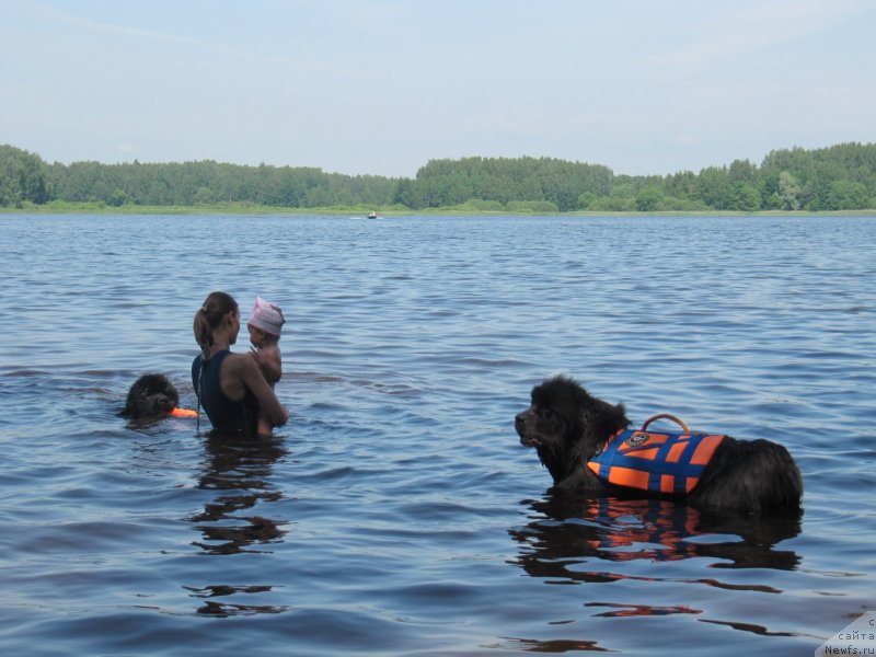 Фотография № 247279