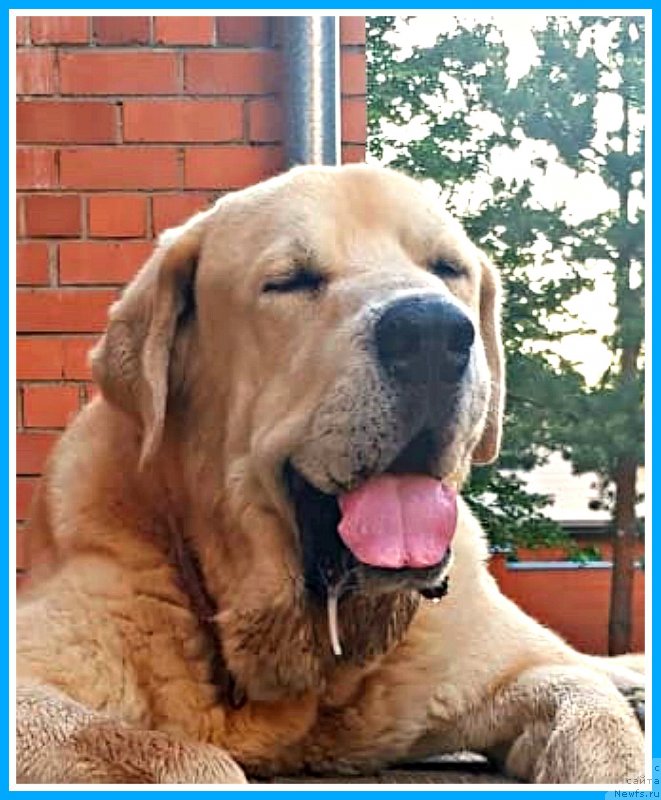 Фотография № 247281