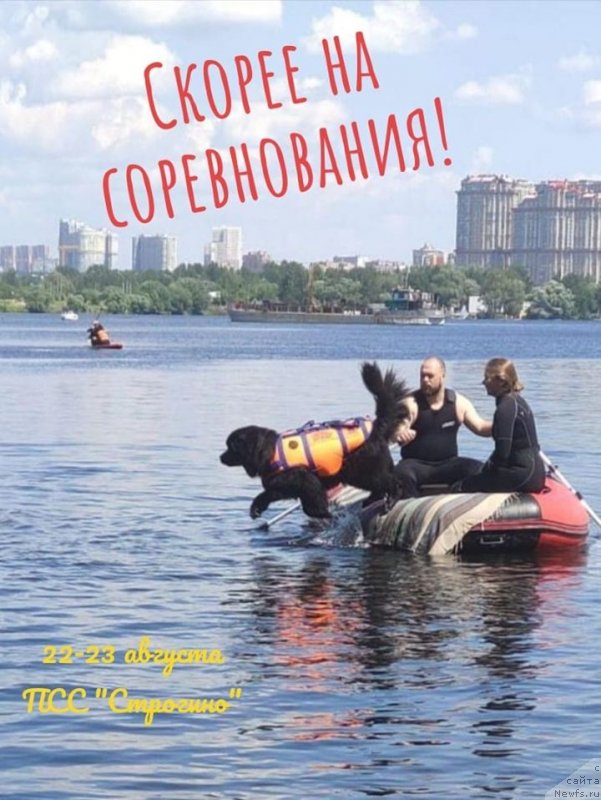 Фотография № 247282