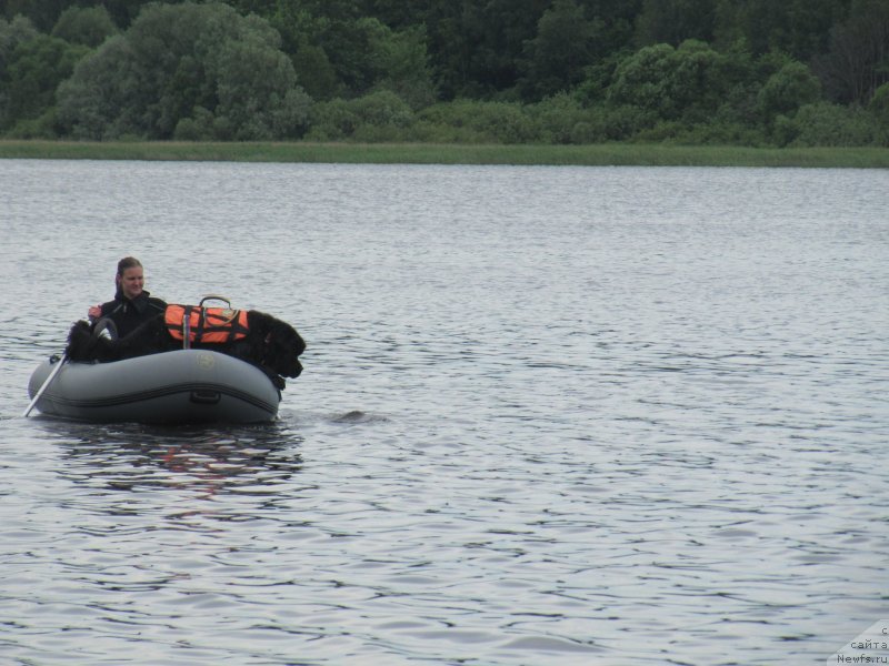 Фотография № 247283