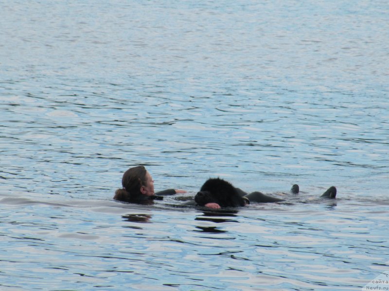 Фотография № 247290