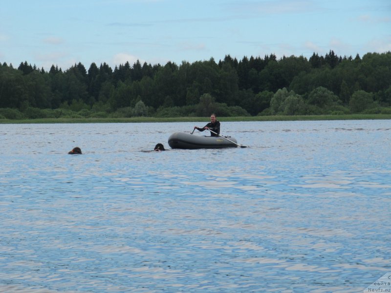 Фотография № 247299