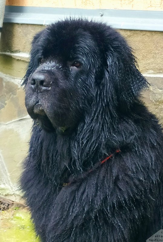 Фотография № 247306