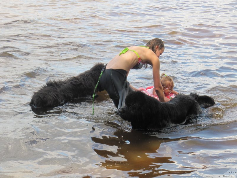 Фотография № 247317