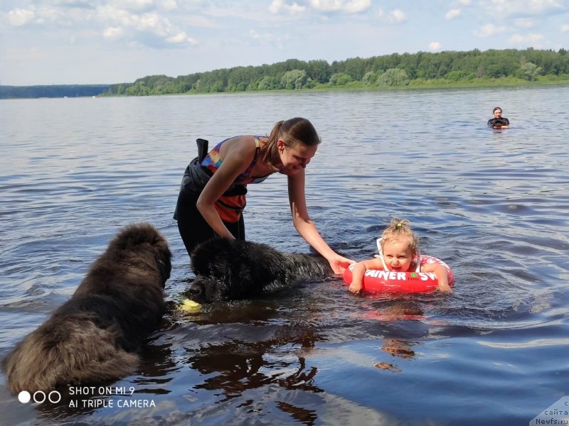 Фотография № 247319