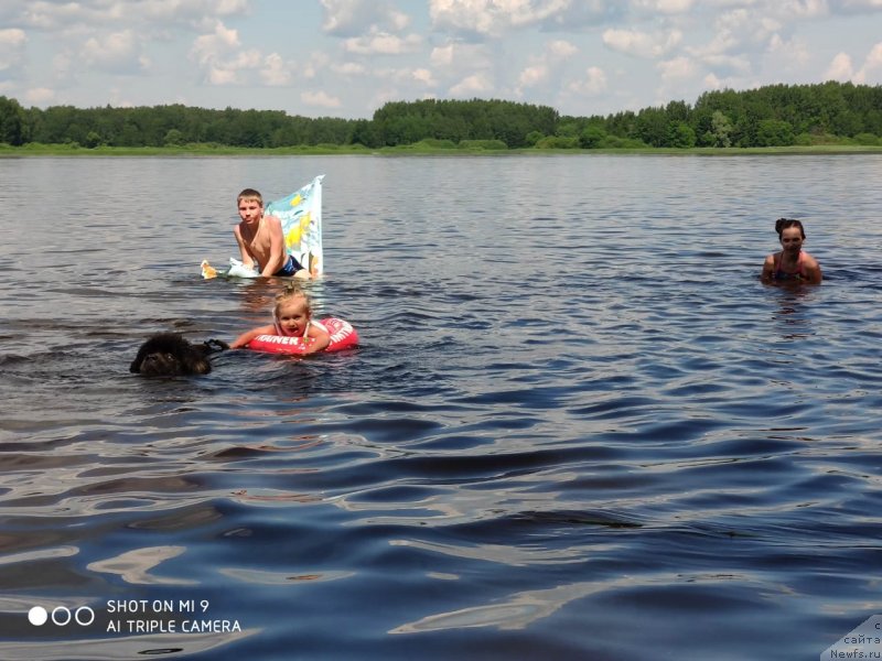 Фотография № 247321