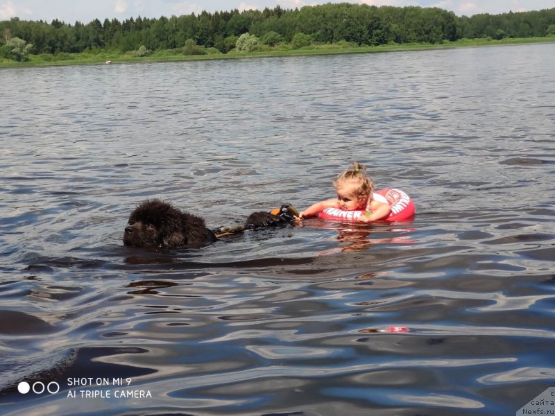 Фотография № 247322