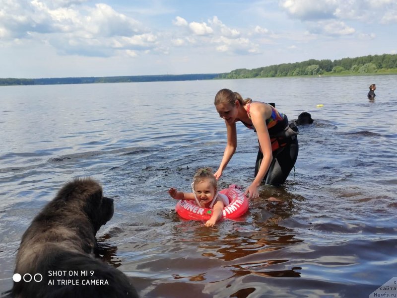 Фотография № 247324