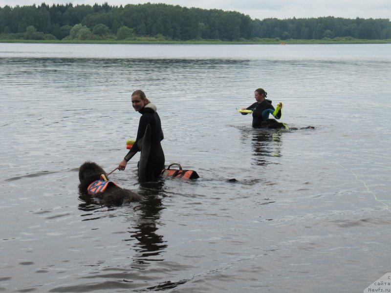 Фотография № 247326