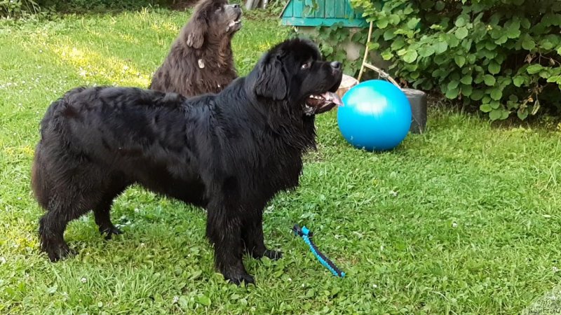 Фотография № 247341