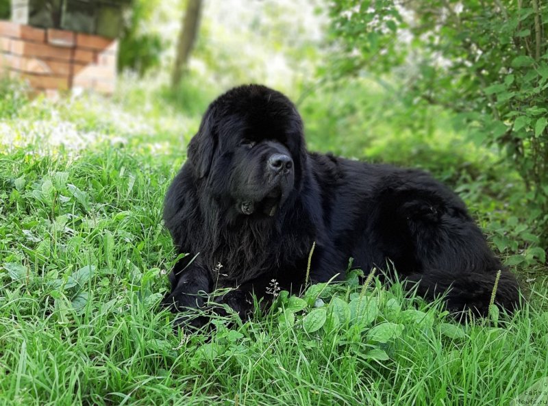 Фотография № 247343