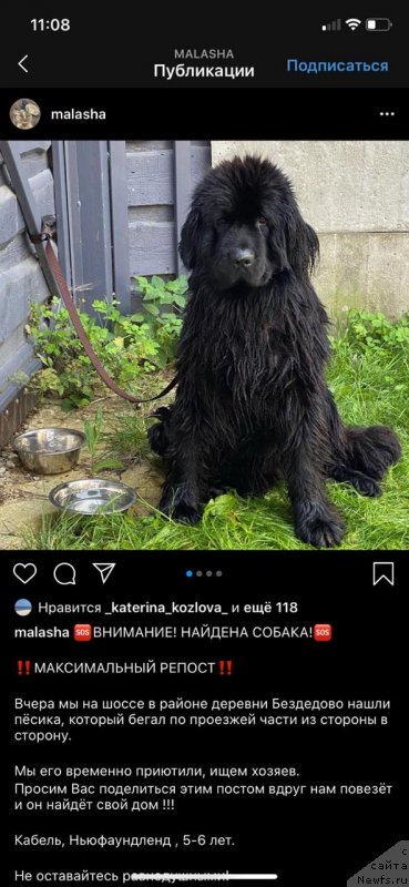 Фото: Галина Афанасьева