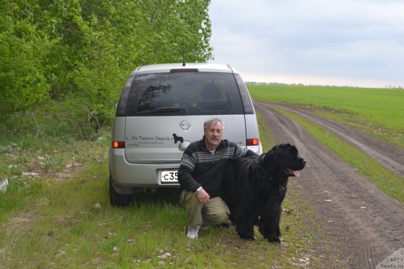 Фото: ньюфаундленд Угрюм Река Из Тихого Омута (Ugryum Reka iz Tihogo Omuta)