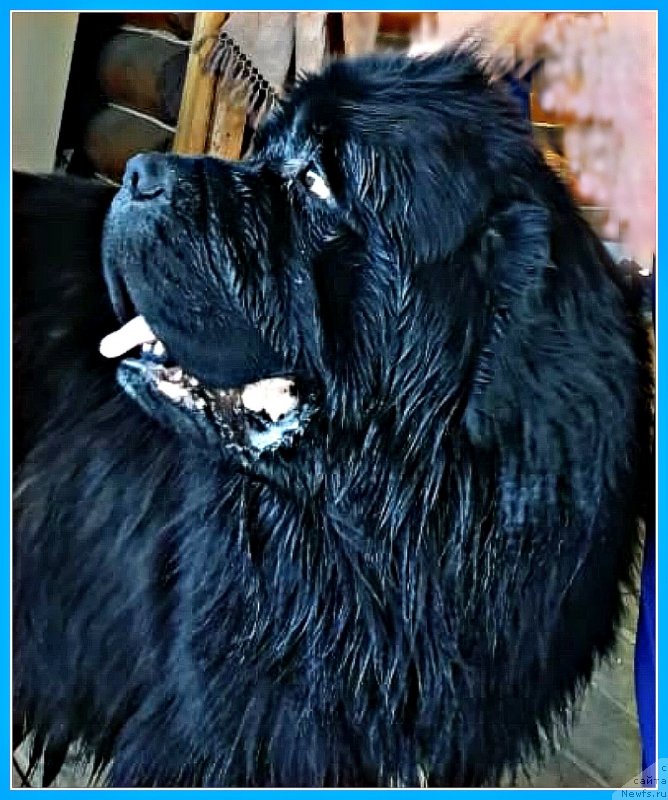 Фотография № 247363