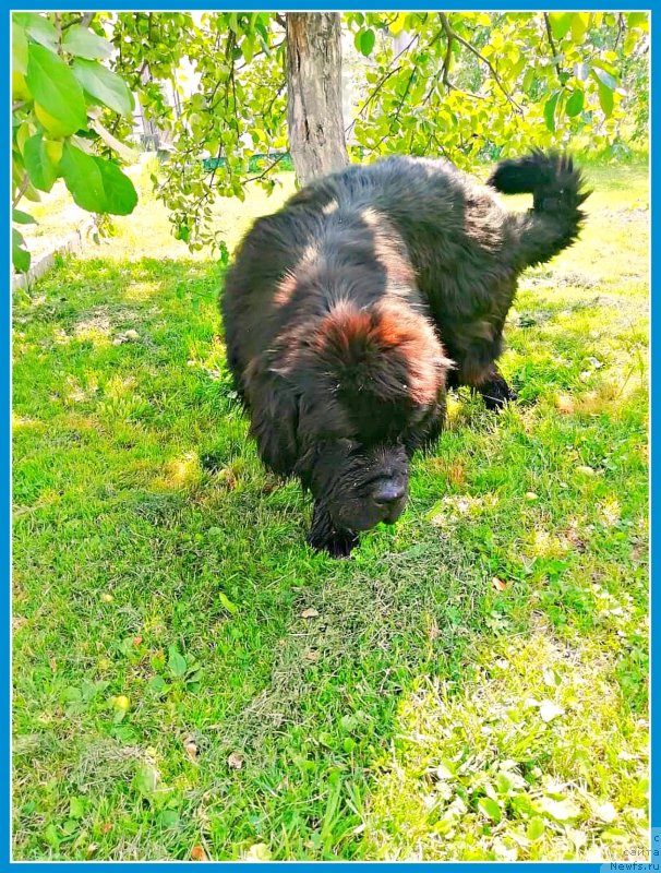 Фотография № 247364