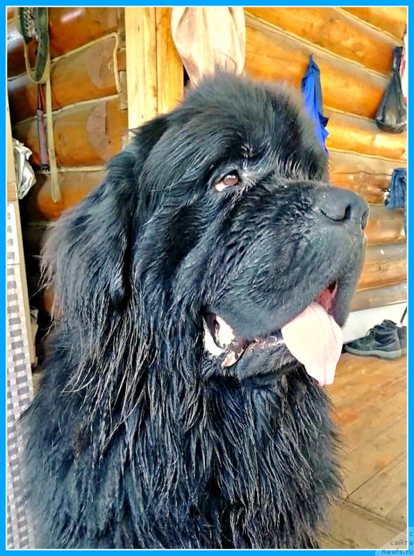 Фотография № 247366