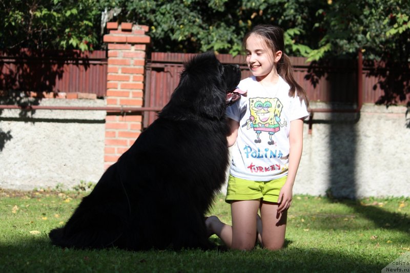 Фотография № 247377