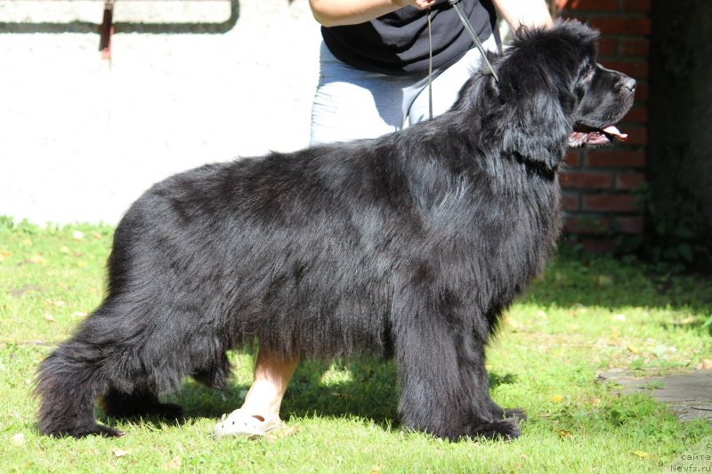 Фотография № 247380