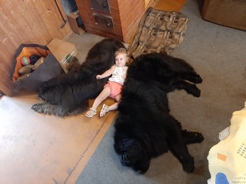 Фотография № 247389