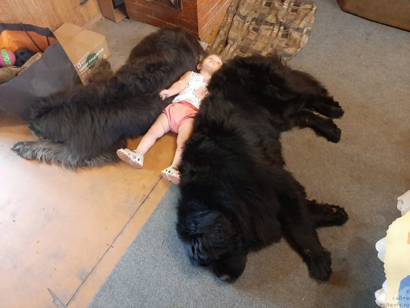 Фотография № 247390