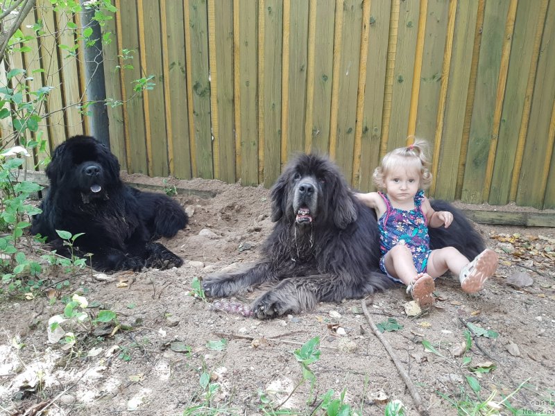 Фотография № 247397