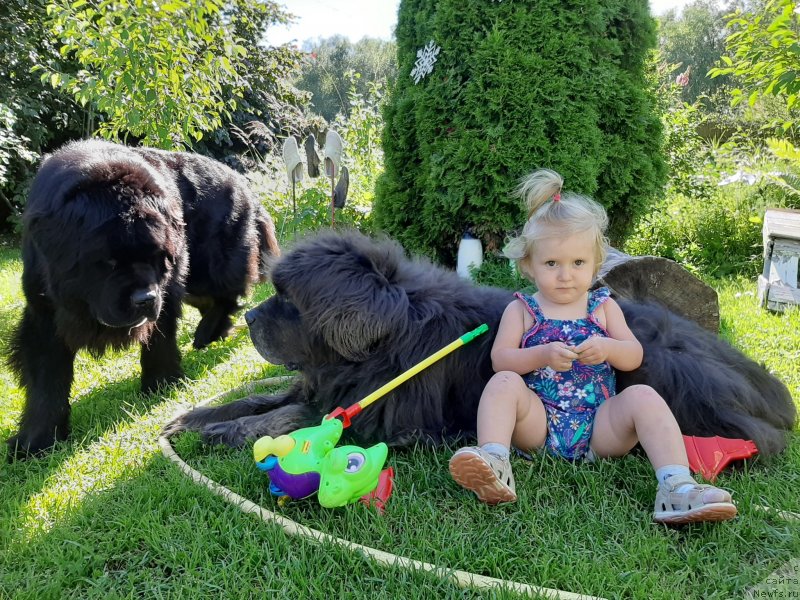 Фотография № 247399