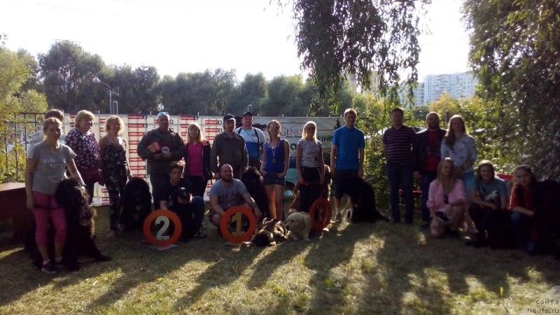 Фотография № 247415